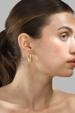 Pendiente Golden Flow - 18k Chapado en oro
