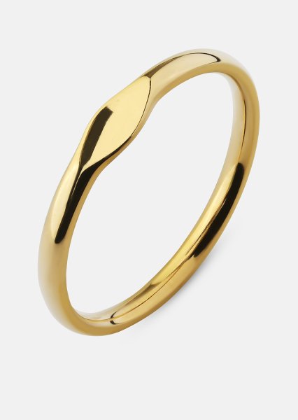 Initial Anillo – 18k Chapado en oro