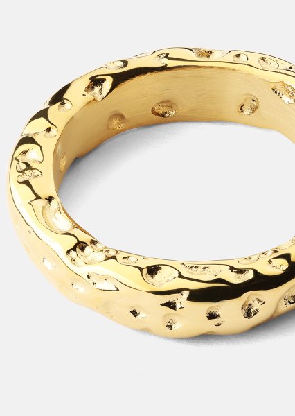 Anillo Terra - 18k Chapado en oro